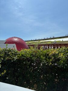 万博　イタリア館　庭園