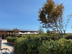 万博　イタリア館　庭園
