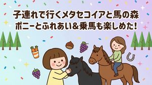 メタセコイヤ並木　メタセコイヤと馬の森　乗馬　馬車　馬　えさやり　ふれあい　マキノピックランド　梨狩り　ぶどう狩り　栗拾い　自然